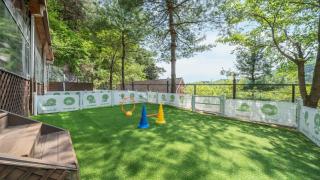 Gapyeong Daengdaengi Dog Pension Silver - Gapyeong - 2