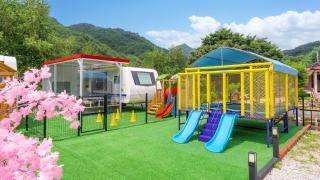 Pocheon hanadulset pet caravan - Pocheon - 6