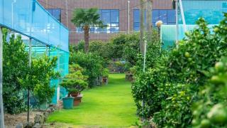 Jeju Jeonwonsaenghwal Diorem Pension - 3