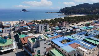 taean mammose pension - Taean - 2