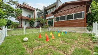 Gapyeong Areuno Pet Pension - 3