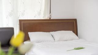 Gapyeong Areuno Pet Pension - 8