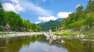 Gapyeong Yeheaden Pension - Pocheon - 8
