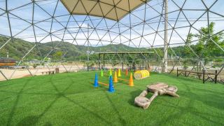 inje darani pet pension - Inje - 0
