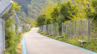 inje darani pet pension - 1