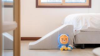 Pocheon luxjay pet Pension - Pocheon - 2