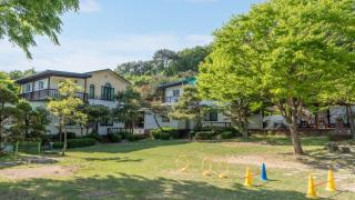 Pocheon luxjay pet Pension - 6