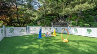 Pocheon luxjay pet Pension - Pocheon - 5