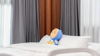 Pocheon luxjay pet Pension - Pocheon - 2