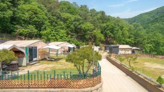 Gapyeong camp with pet & aegyeonglamping - 0
