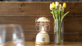 Gapyeong camp with pet & aegyeonglamping - Gapyeong - 4
