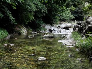 Gapyeong Supsokui Harmony Pension - Gapyeong - 1