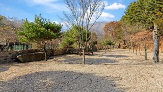 Gapyeong dolgungpensyeon&kaempingjang - 3