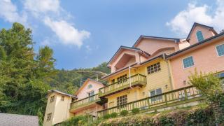 yangpyeong beulleosseom pet spa pension - Yangpyeong - 1