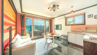 HongCheon Casa Pellis Pet Private Pesion - Hongcheon - 9