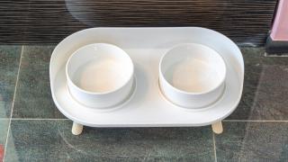 HongCheon Casa Pellis Pet Private Pesion - Hongcheon - 5
