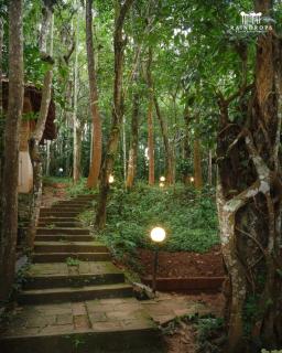 Raindrops Resorts Wayanad - Sultan Bathery - 7