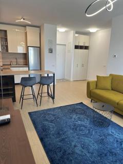 Soare & relaxare-apartament in centrul orasului - Iaşi - 7