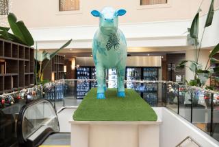 Hilton Cambridge City Centre - 3