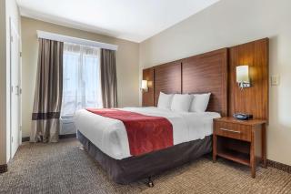 Comfort Suites Old Town Spring - 1