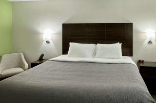Quality Inn - Sulphur - 4