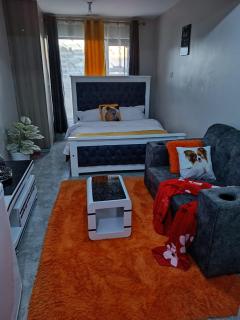 Bebrofal suites - Nairobi - 0