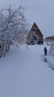 Thomas' Hut - Kasbegi - 0