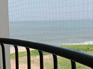 Seashells Pentagon Calicutbeach - 4