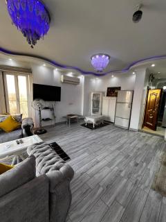 شقة بإطلالة مميزة علي النيل - 7