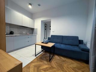 Uroczy apartament z osobną sypialnią- Self Check-In - Kattowitz - 1