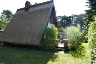 Reetdachhaus in Quilitz auf Usedom - Quilitz - 1