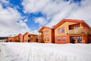 Perfectly Located with Ski Access and Sauna - Beitostøl - 9