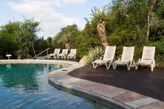 Stonehill River Lodge by Dream Resorts - 8