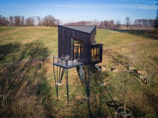 Treeangle - K1 Baumhaus - Odenthal - 7