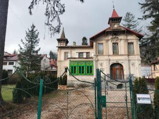 Casa Albert Litman - Sinaia - 1