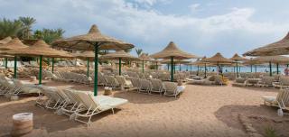 Oonas Dive Club - Scharm asch-Schaich - 9