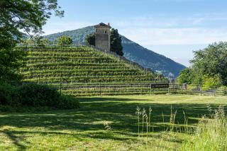 Collina d'Oro Resort & SPA - 8
