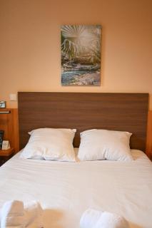 Logis Hôtel l'Auberge d'Alex - Arzacq-Arraziguet - 7