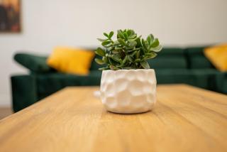Apartament Ultra Central - Cluj-Napoca - 7