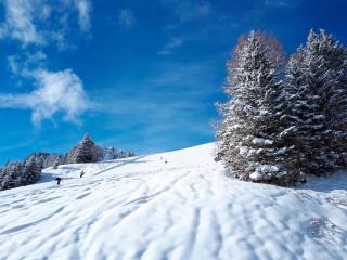 Landal Chalet Matin - Bürserberg - 9