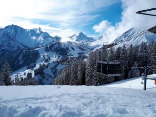 Landal Chalet Matin - Bürserberg - 8