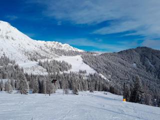Landal Chalet Matin - Bürserberg - 7