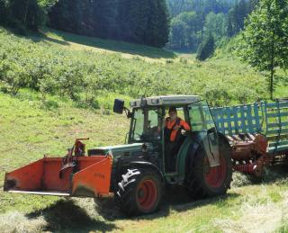 Wellehof - Oberkirch - 6