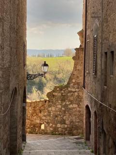 Palazzo Luparelli Boutique Apartment - Colle di Val d'Elsa - 5
