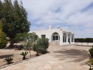Preciosa finca con piscina R105 by Novadesta - Elx - 9