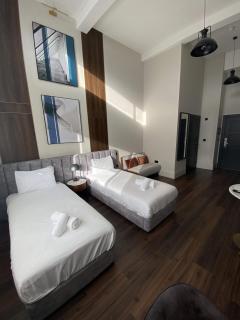 Stunning Twin Studio Apartment in Central Hastings - Hastings - 7
