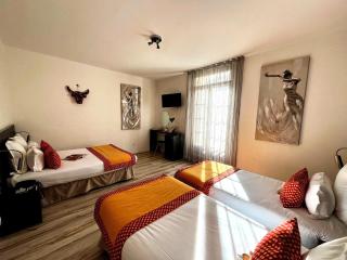 Hôtel Saint Louis - Aigues-Mortes - 9