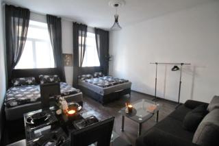 1BR Apartment for 5P Great Location - Vienne - 5