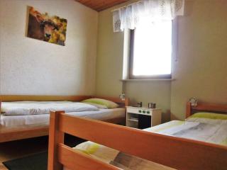 Ferienwohnung Ursprung - Sankt Georgen - 4