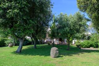 Villa Marisa - Fregene - 5